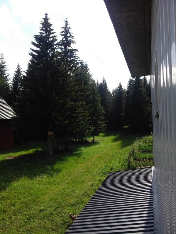 Apartment Luka Žabljak Buitenkant foto