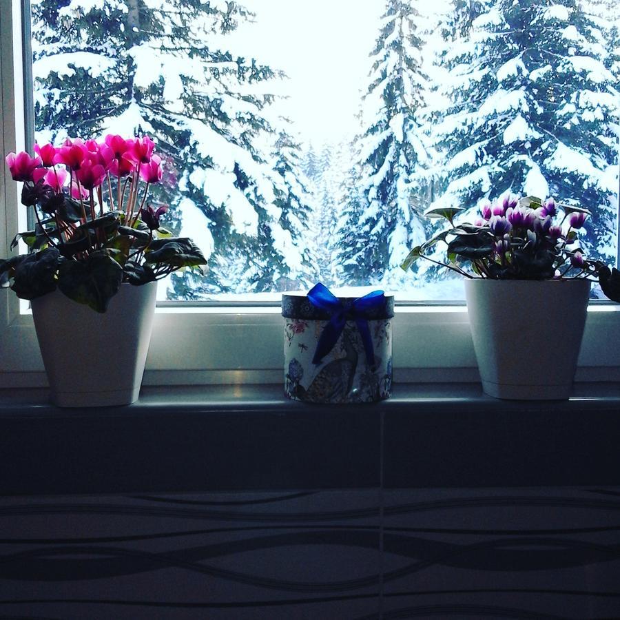 Apartment Luka Žabljak Kamer foto